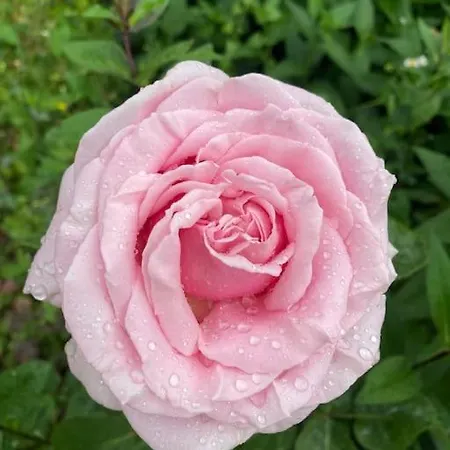 Casa de Férias Walden 4-6 Personnes *